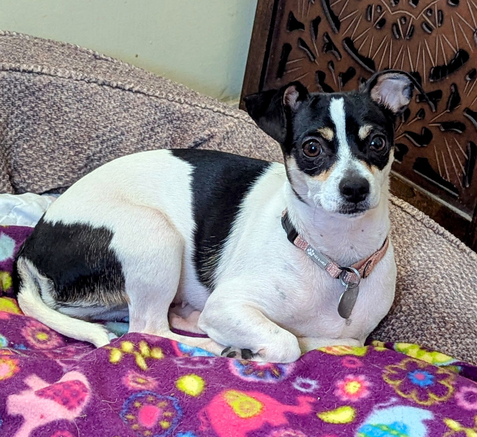 Birdie - Beautiful Lady!