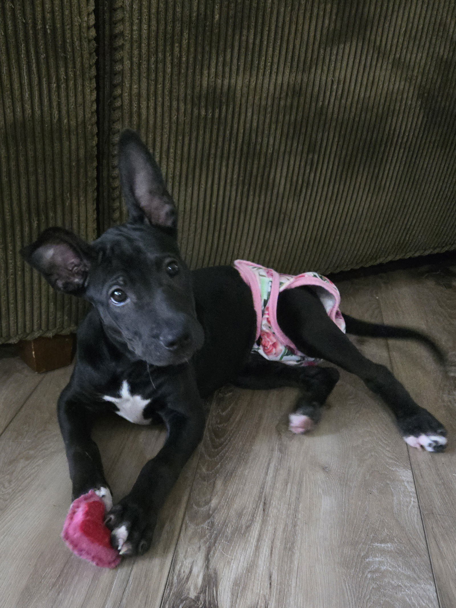 Tilly