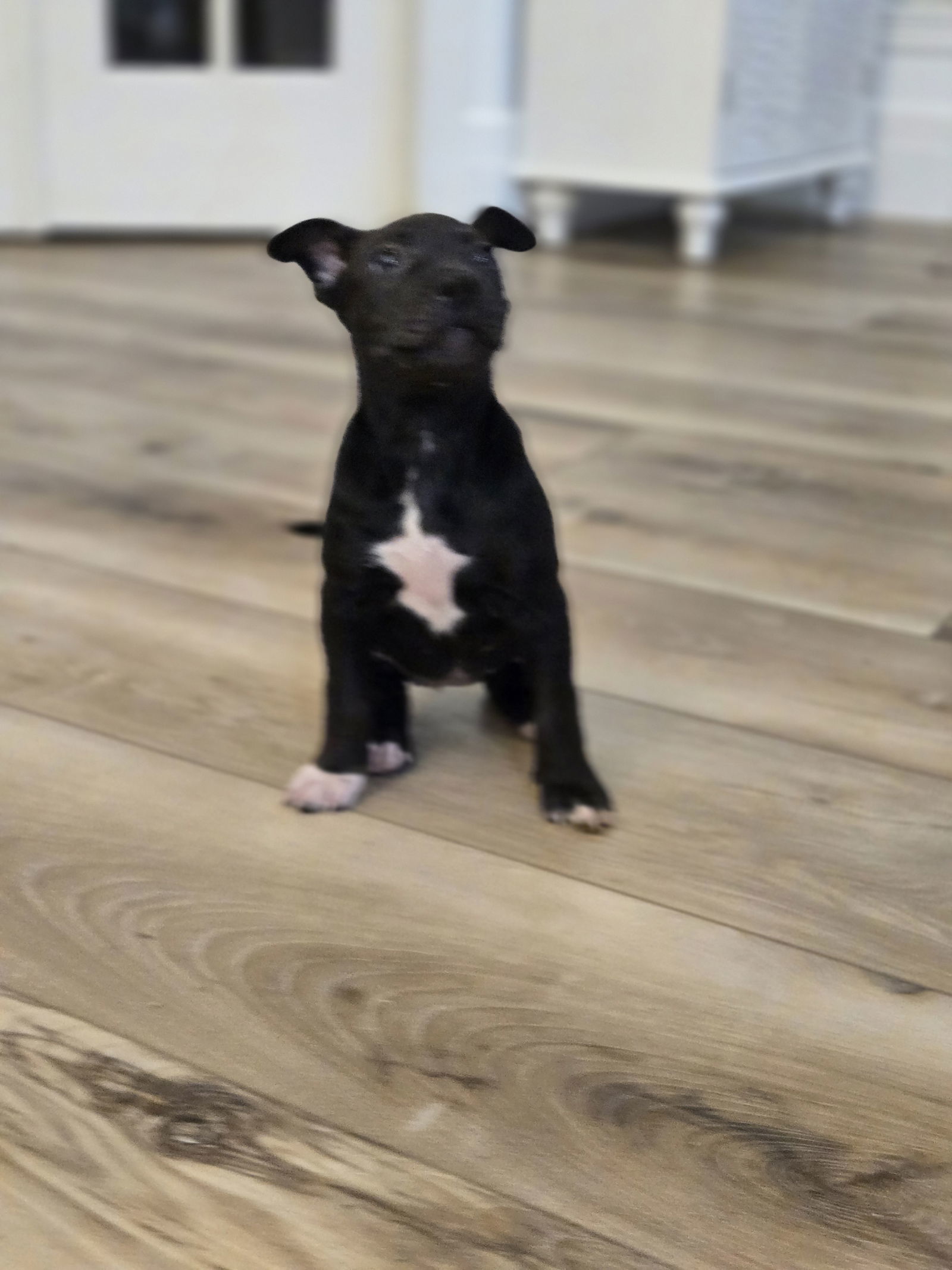 Tilly