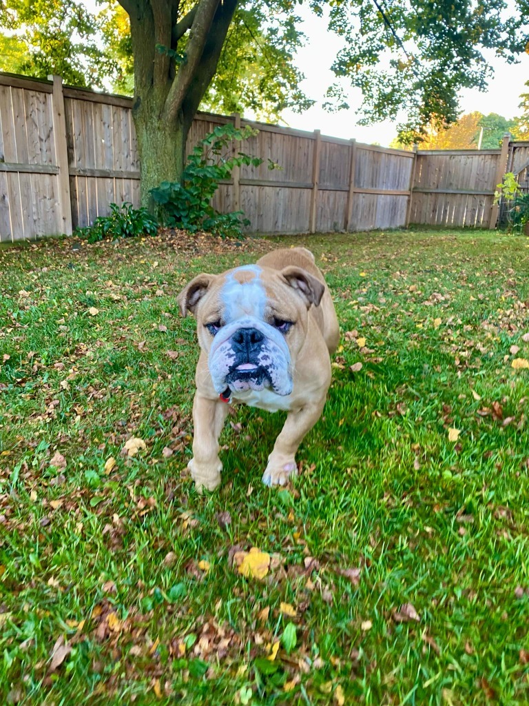 Matilda