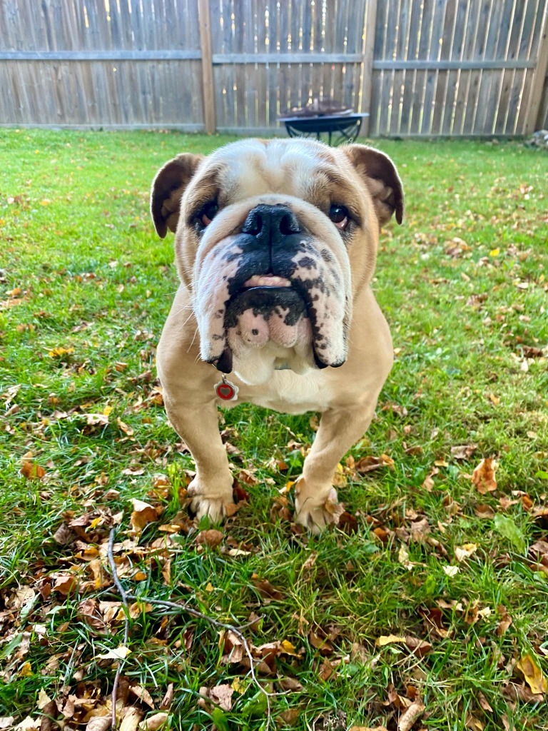 Matilda