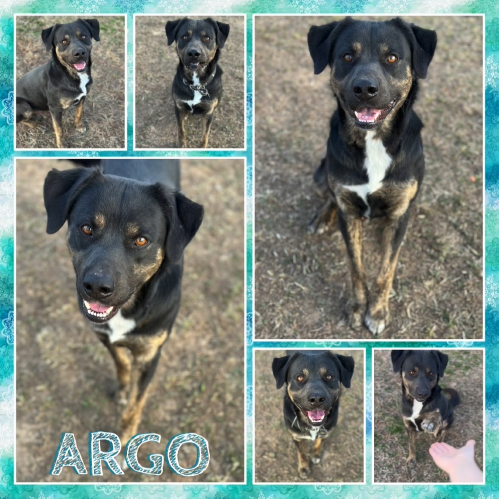Argo