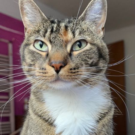 Ellie photo