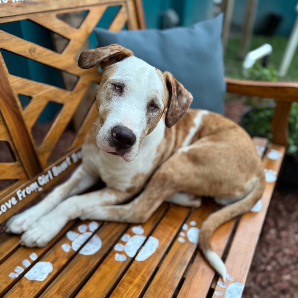 Petey