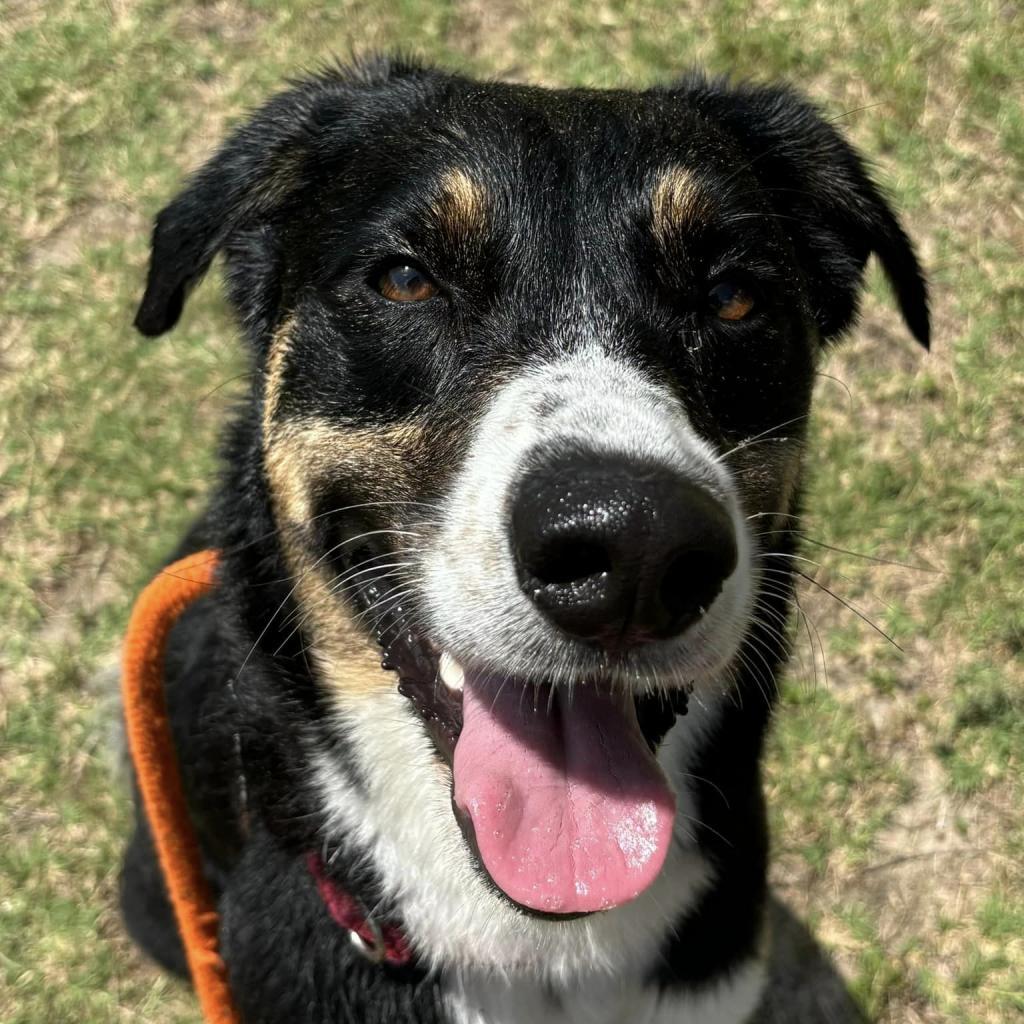 Kaia