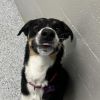 Kaia photo 4