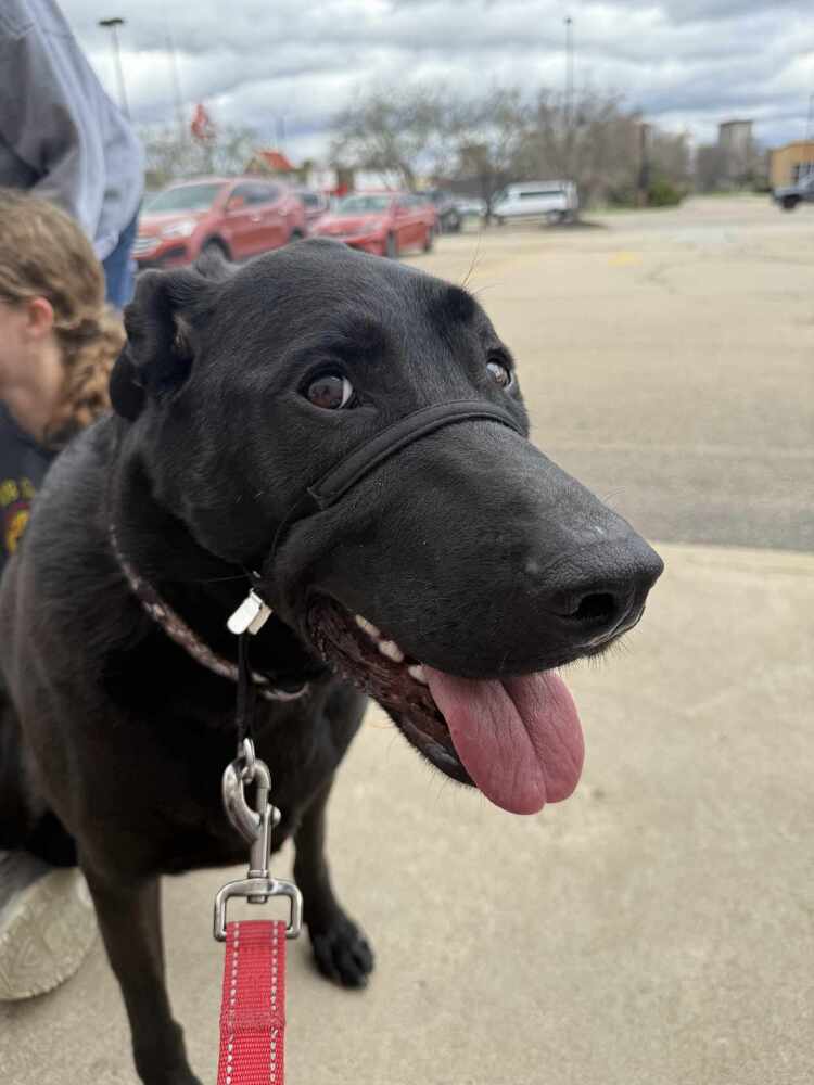 Oakley