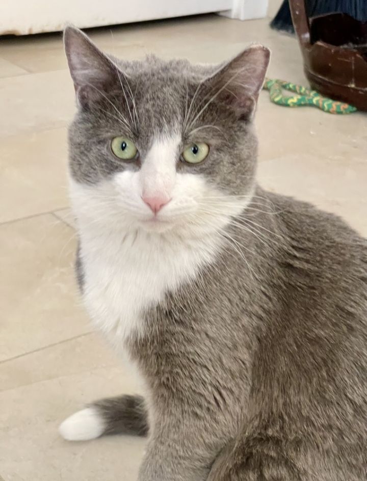 Truman 2