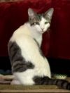 Fritzy photo 2