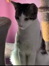 Fritzy photo 5