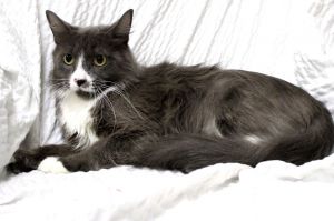 Mrs Claus is initially shy but is incredibly sweet once you get to know her She would thrive in a