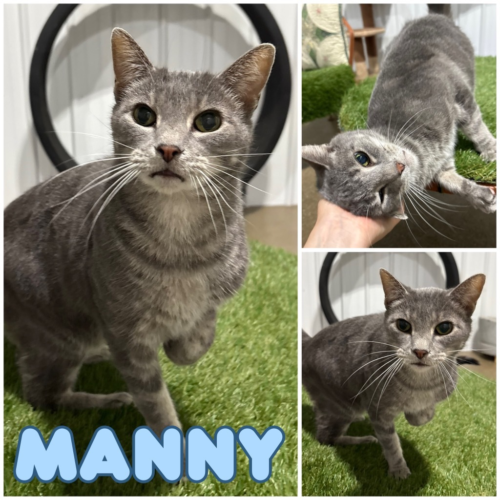 Manny