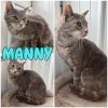 Manny photo 3