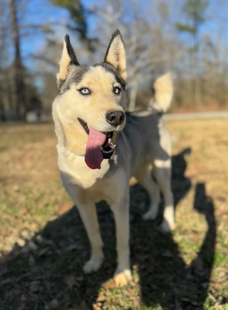 Sasha Mama
