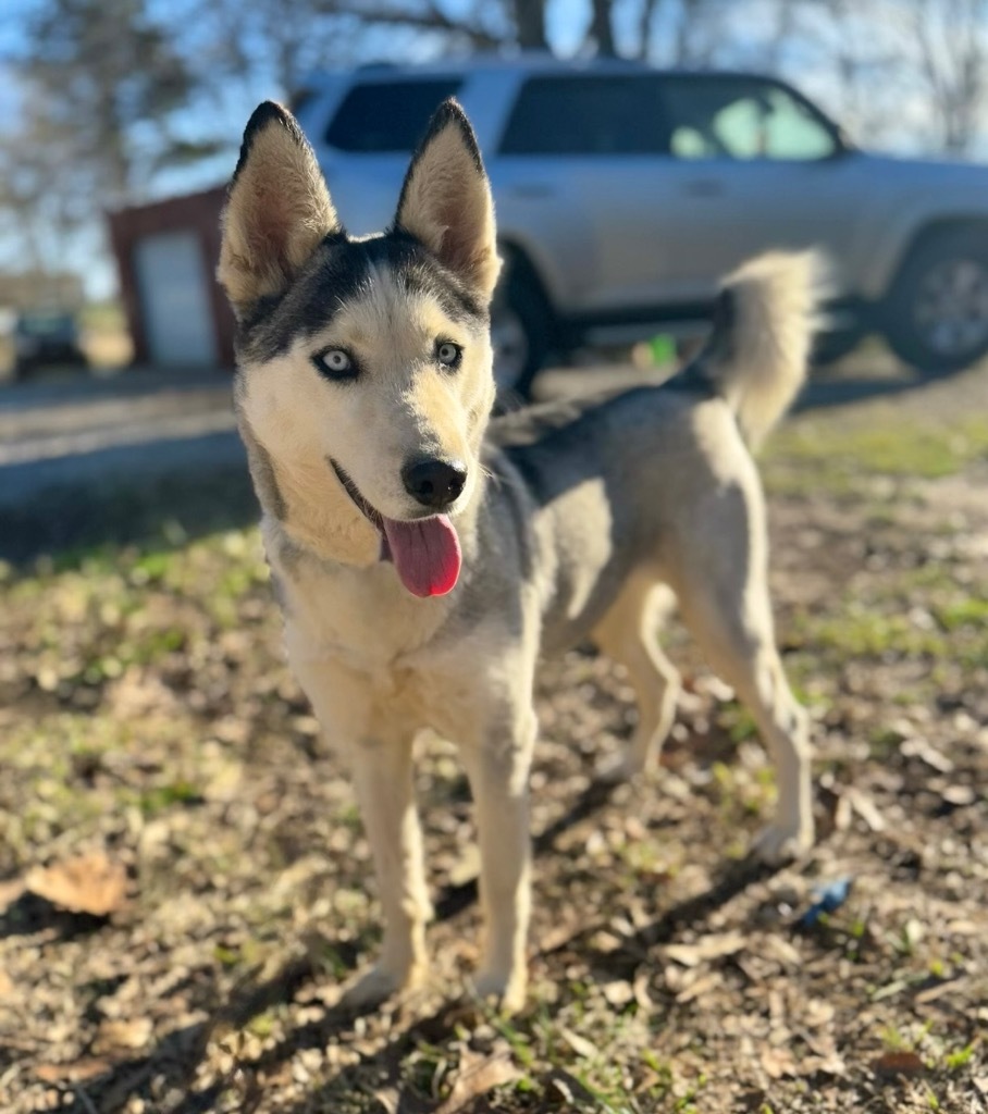 Sasha Mama