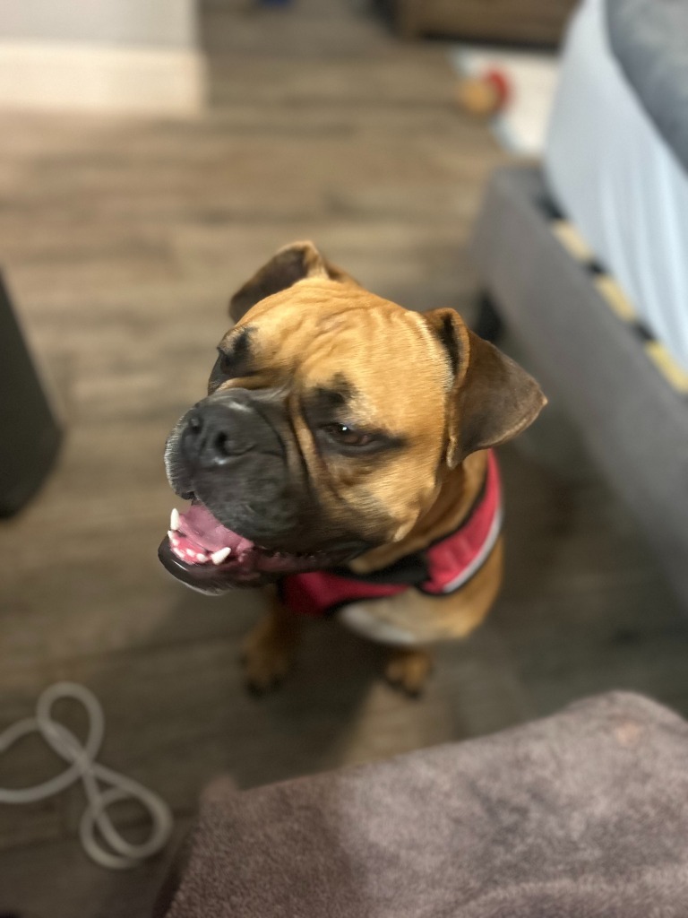 Ms. Rubble