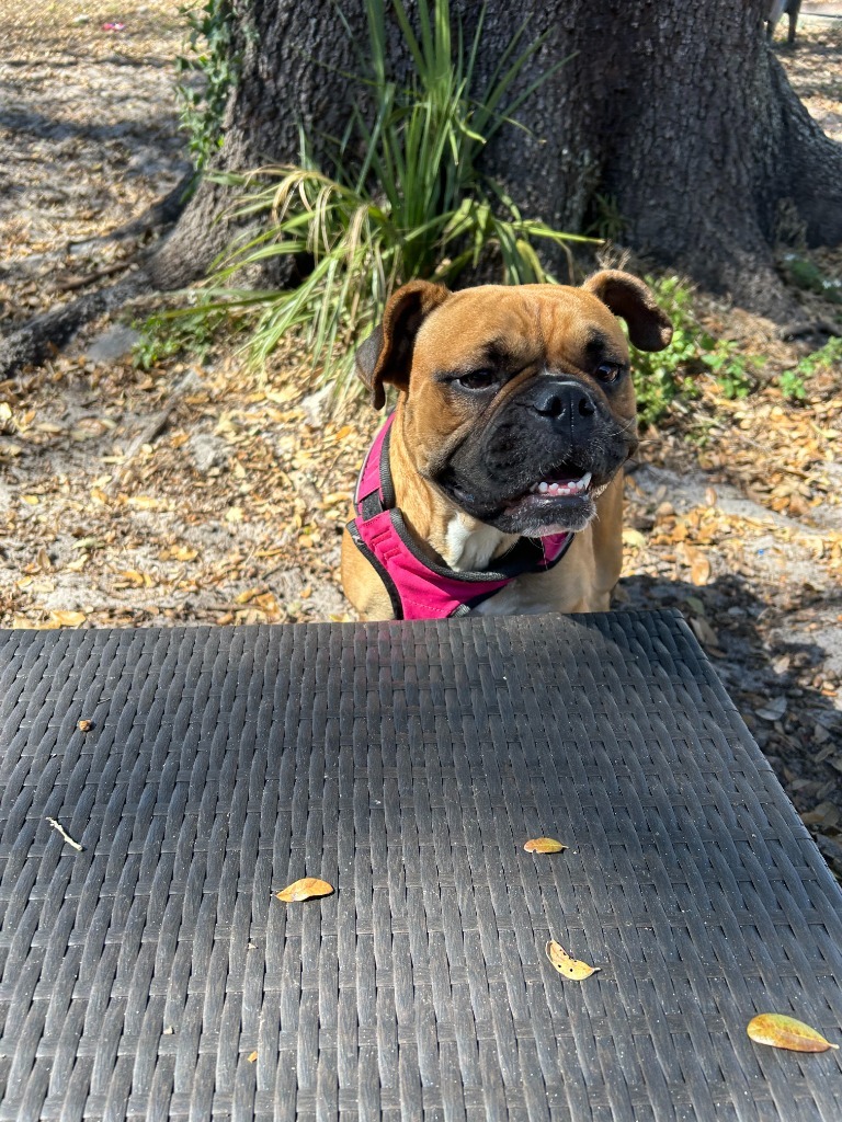 Ms. Rubble