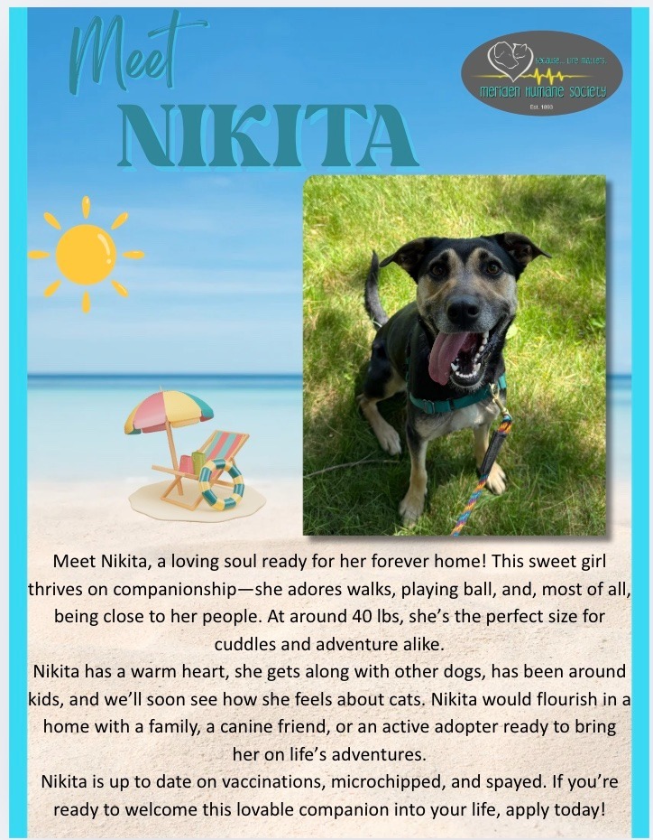 Nikita