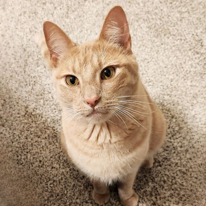 Sammy Jr 4