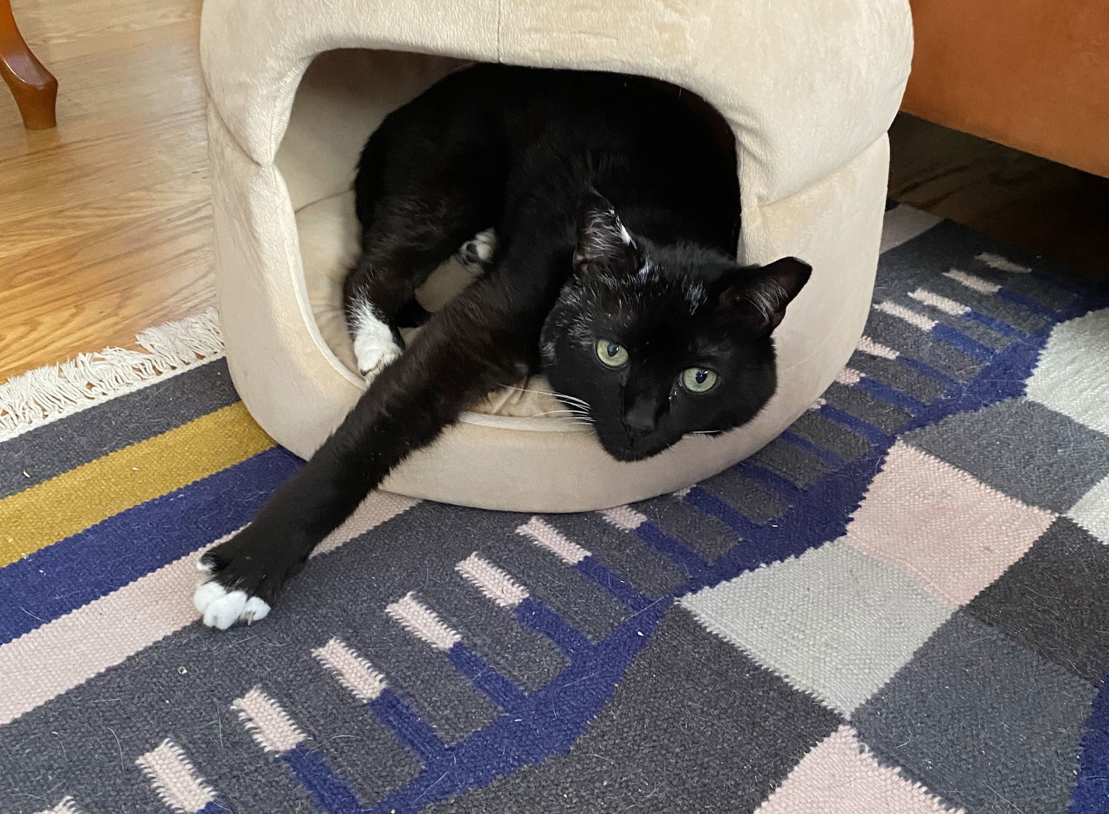 Vader