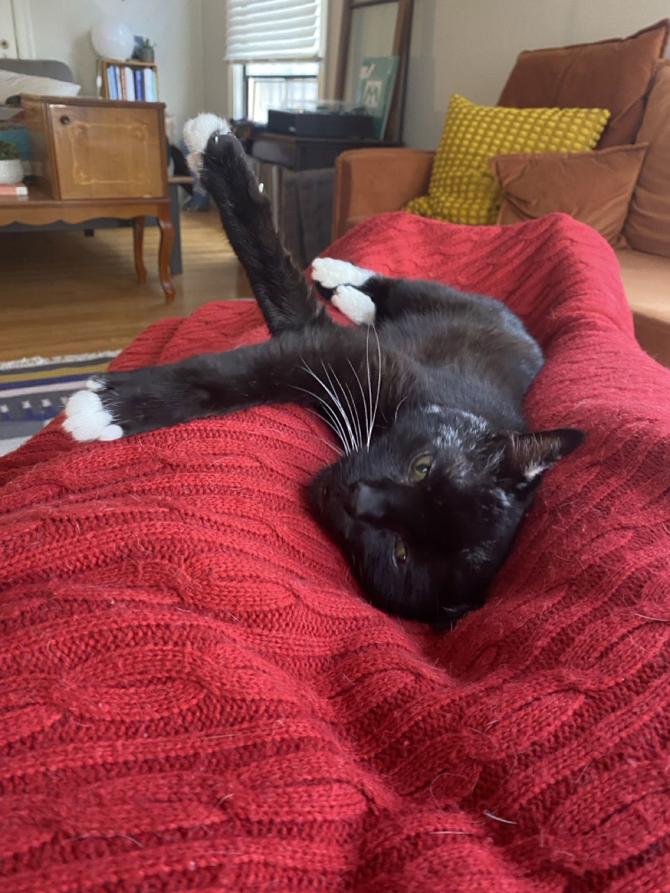 Vader