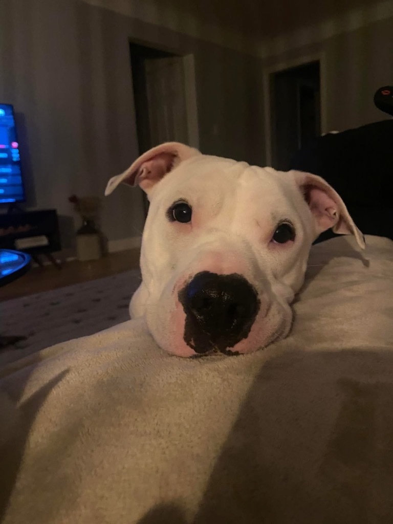 Krypto