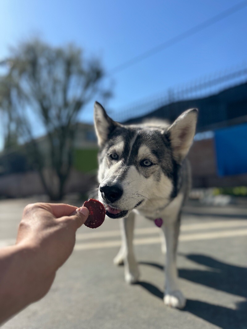 Sheila