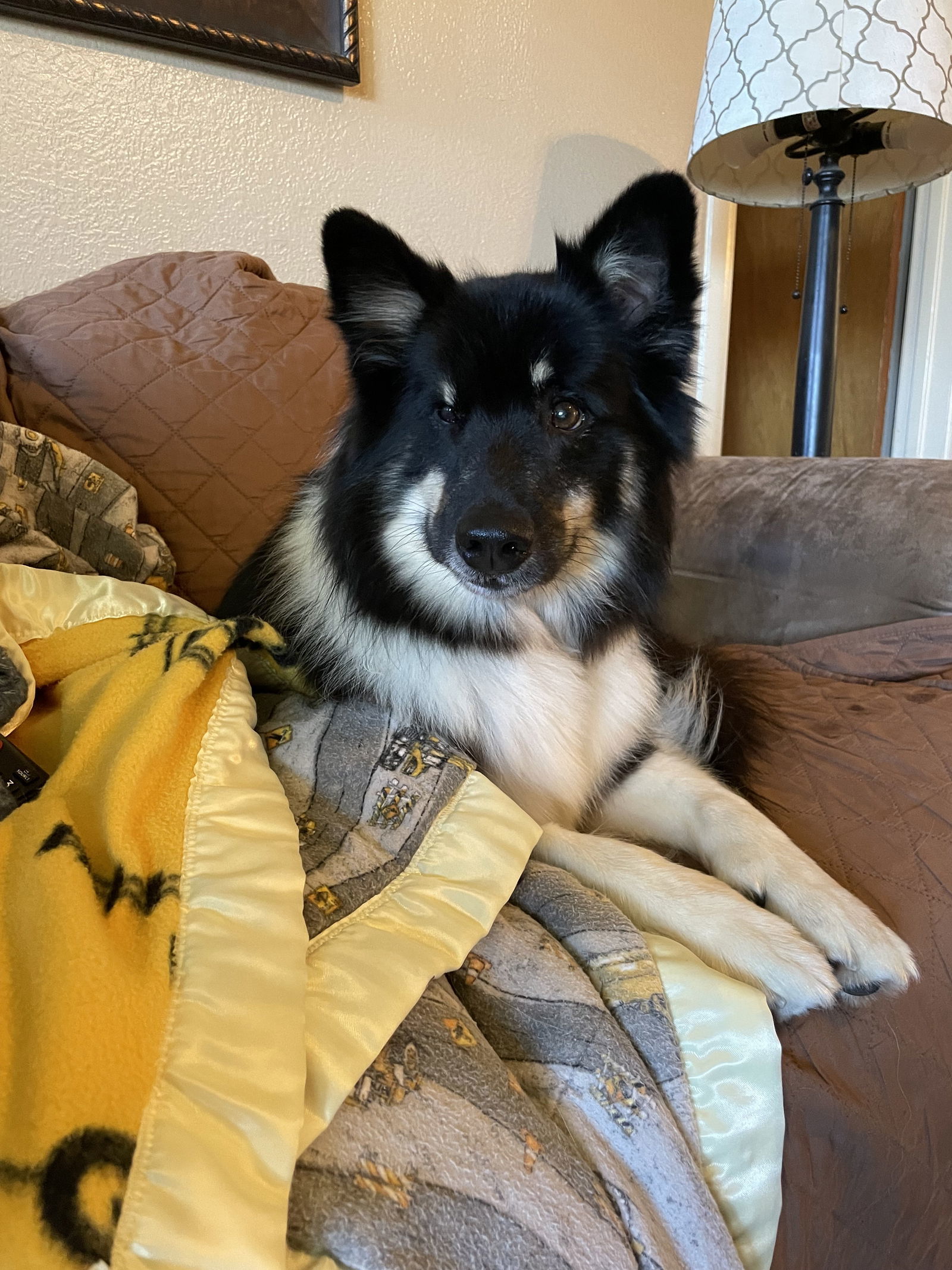 Gandur (Courtesy Post)