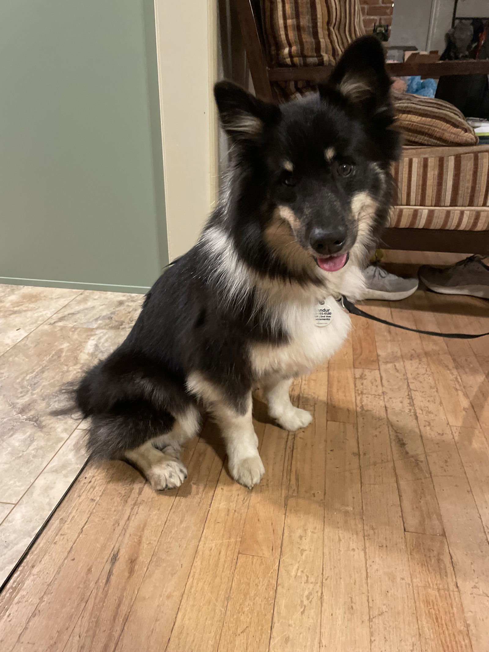 Gandur (Courtesy Post)