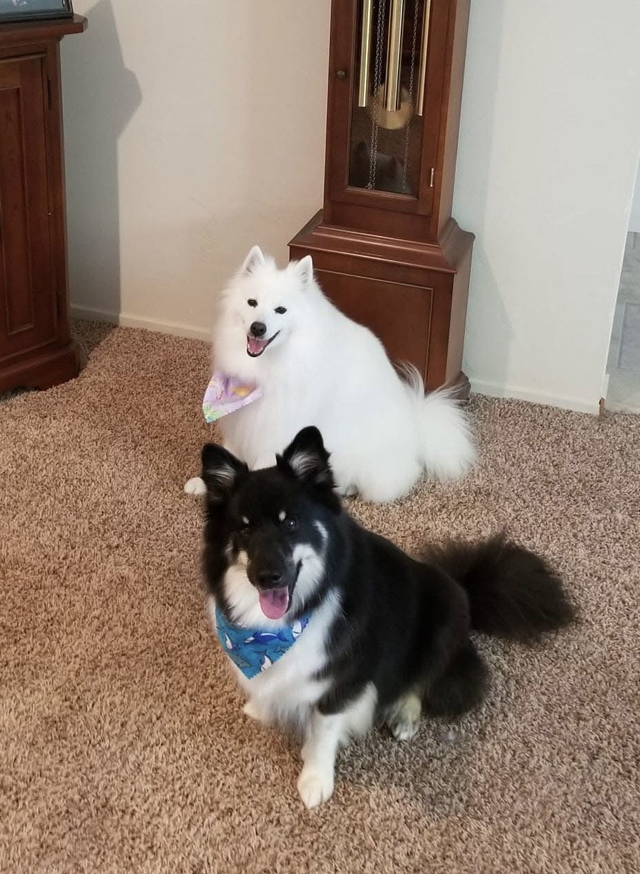 Gandur (Courtesy Post)