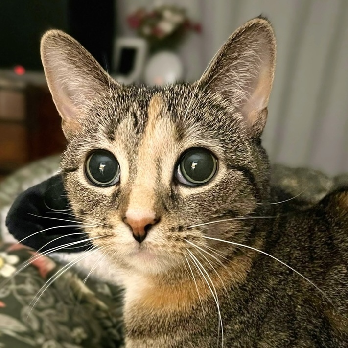 Amber