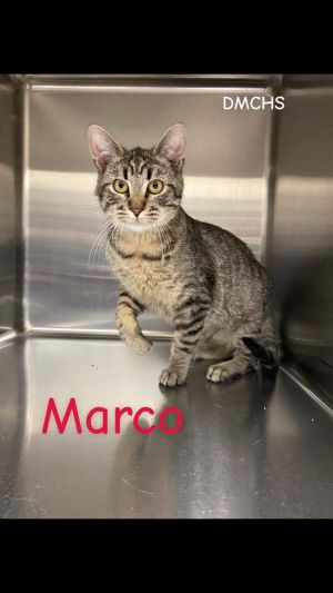 Marco