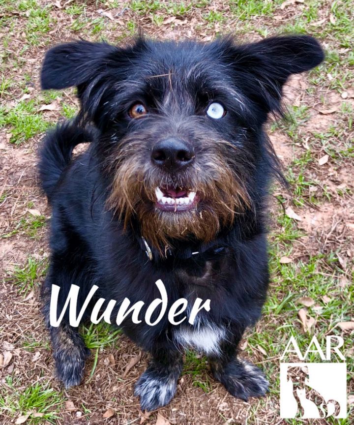 Wunder 5