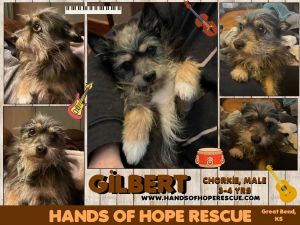 Gilbert