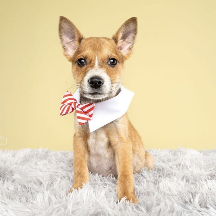 Buster 1