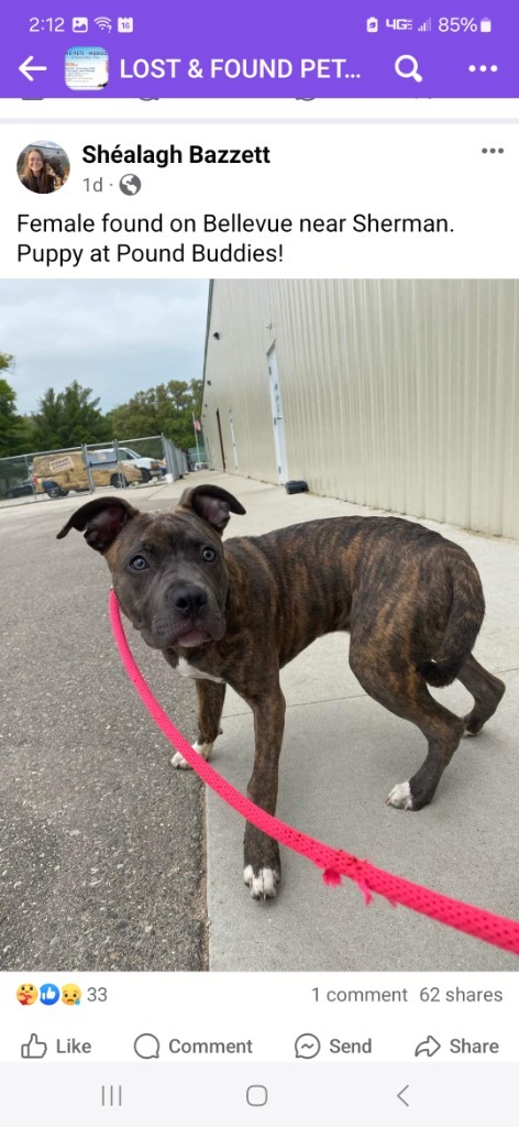 Harper Luna (foster)