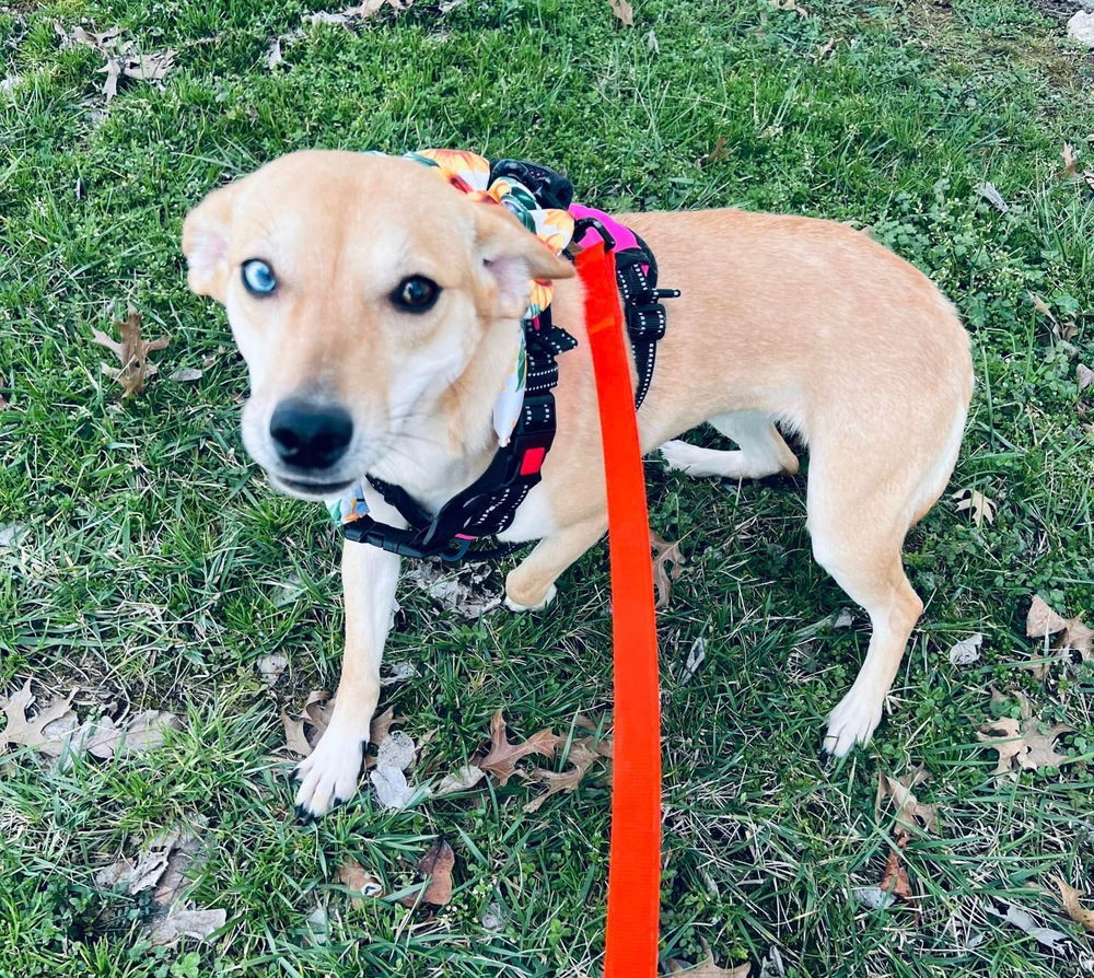 Penny~
