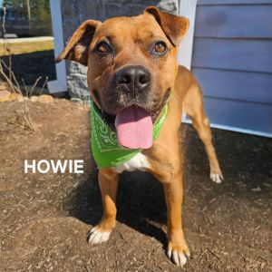 Howie