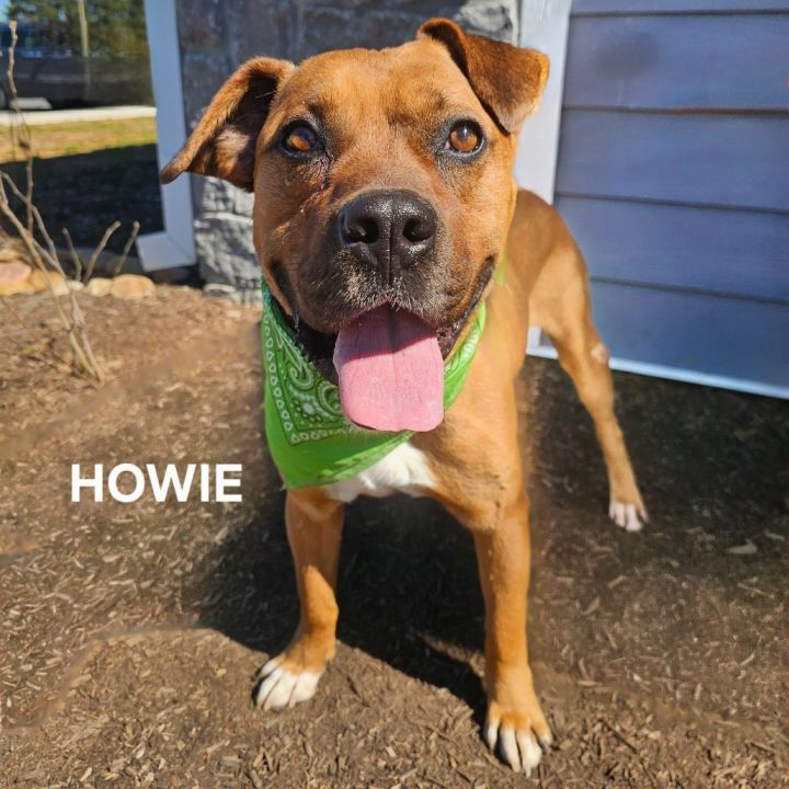 Howie 1