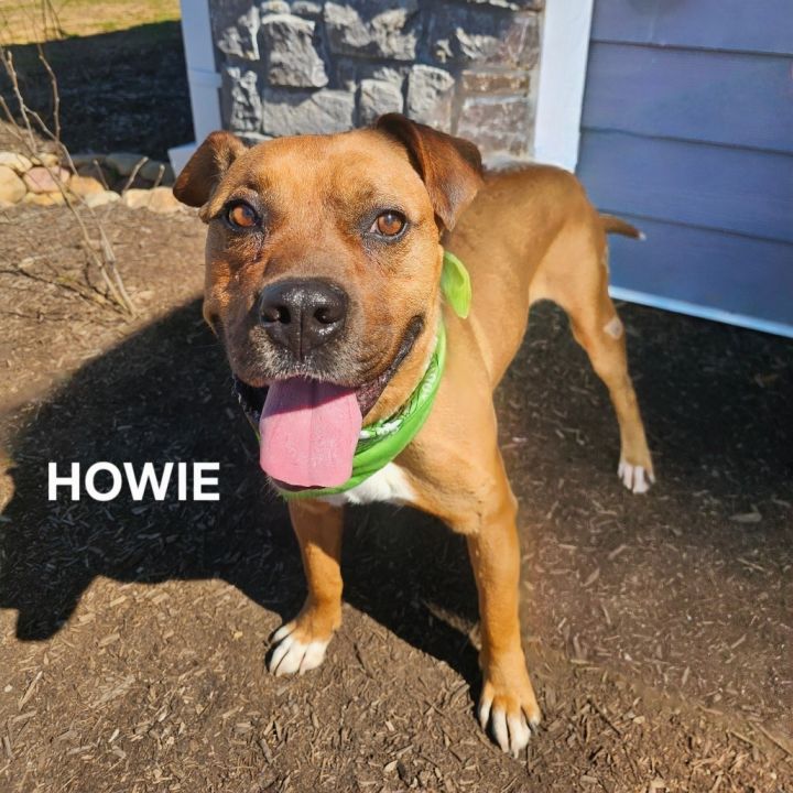 Howie 3