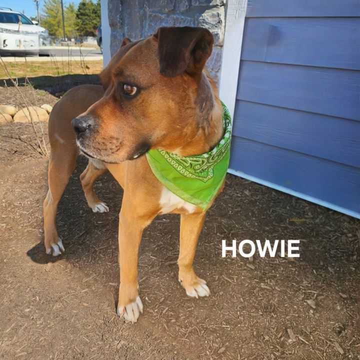 Howie 5