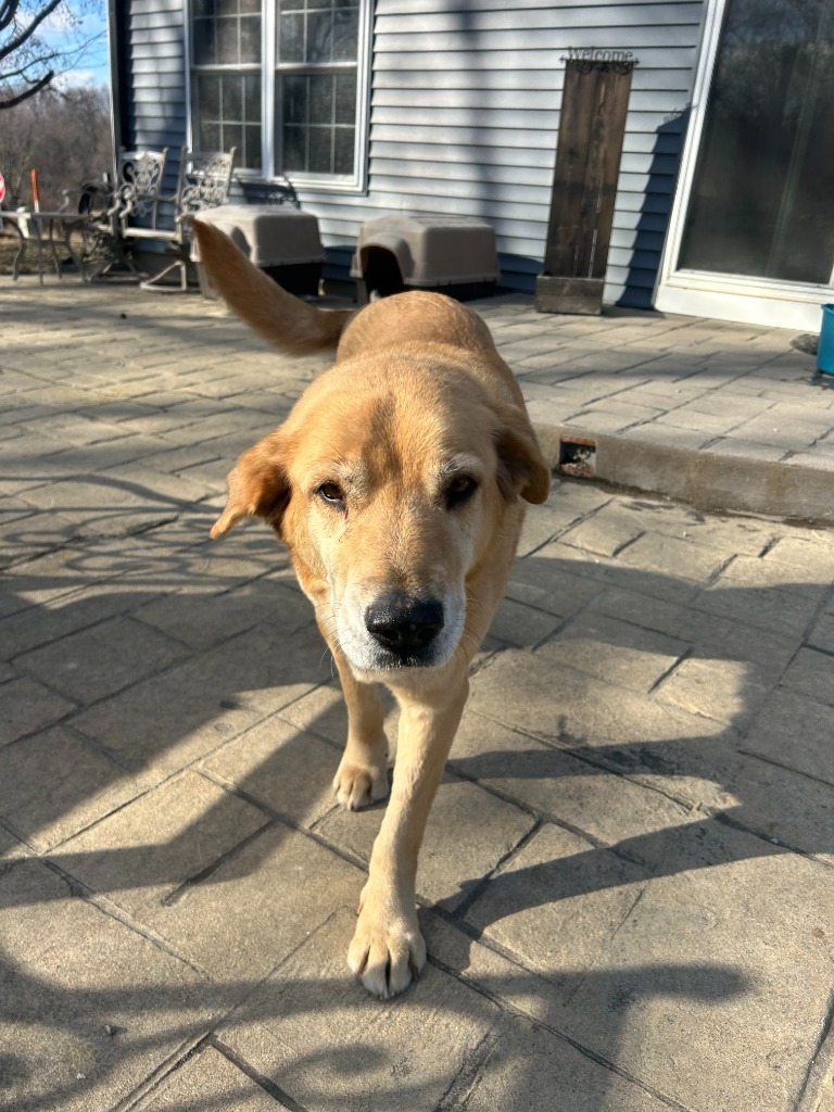 Marley