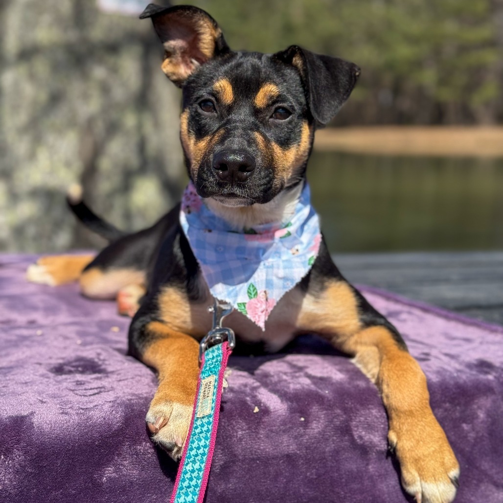 Penelope 03-0302