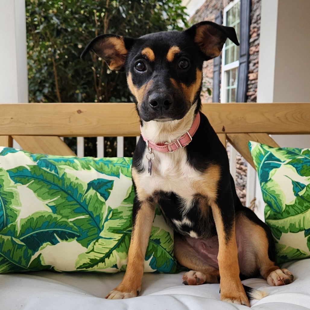 Penelope 03-0302