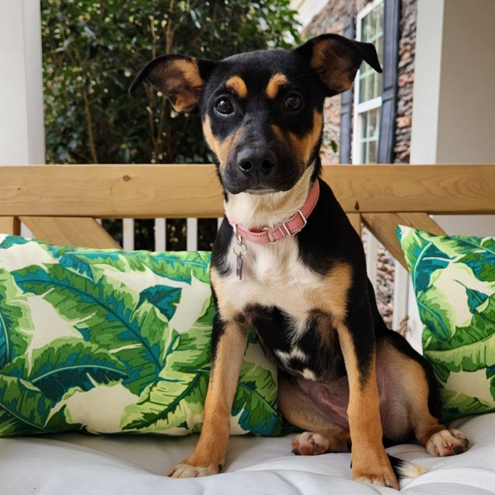 Penelope 03-0302 4