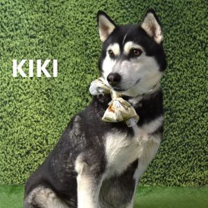 Kiki