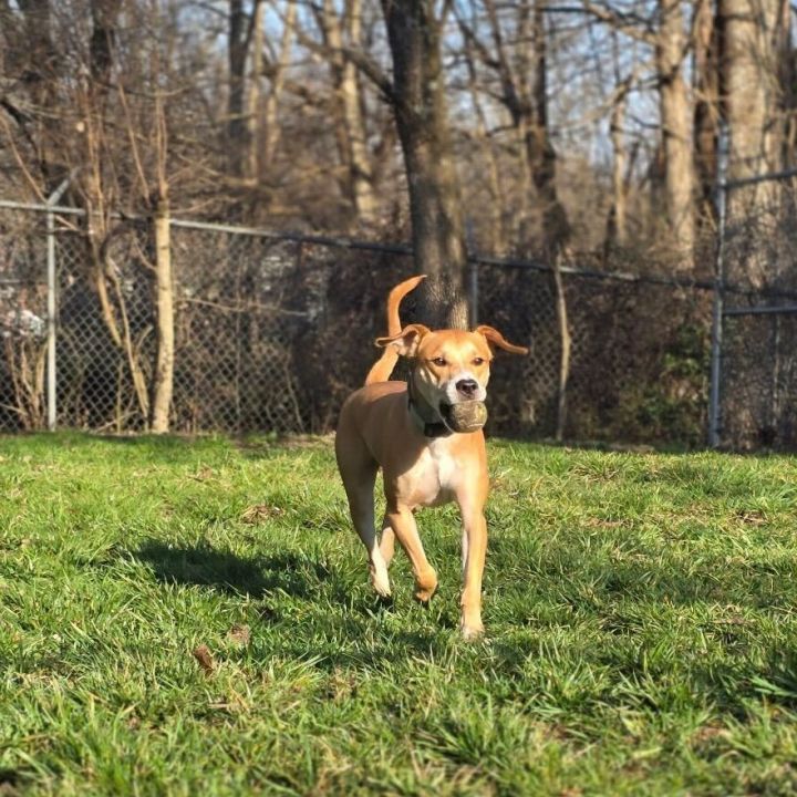 Toby 4