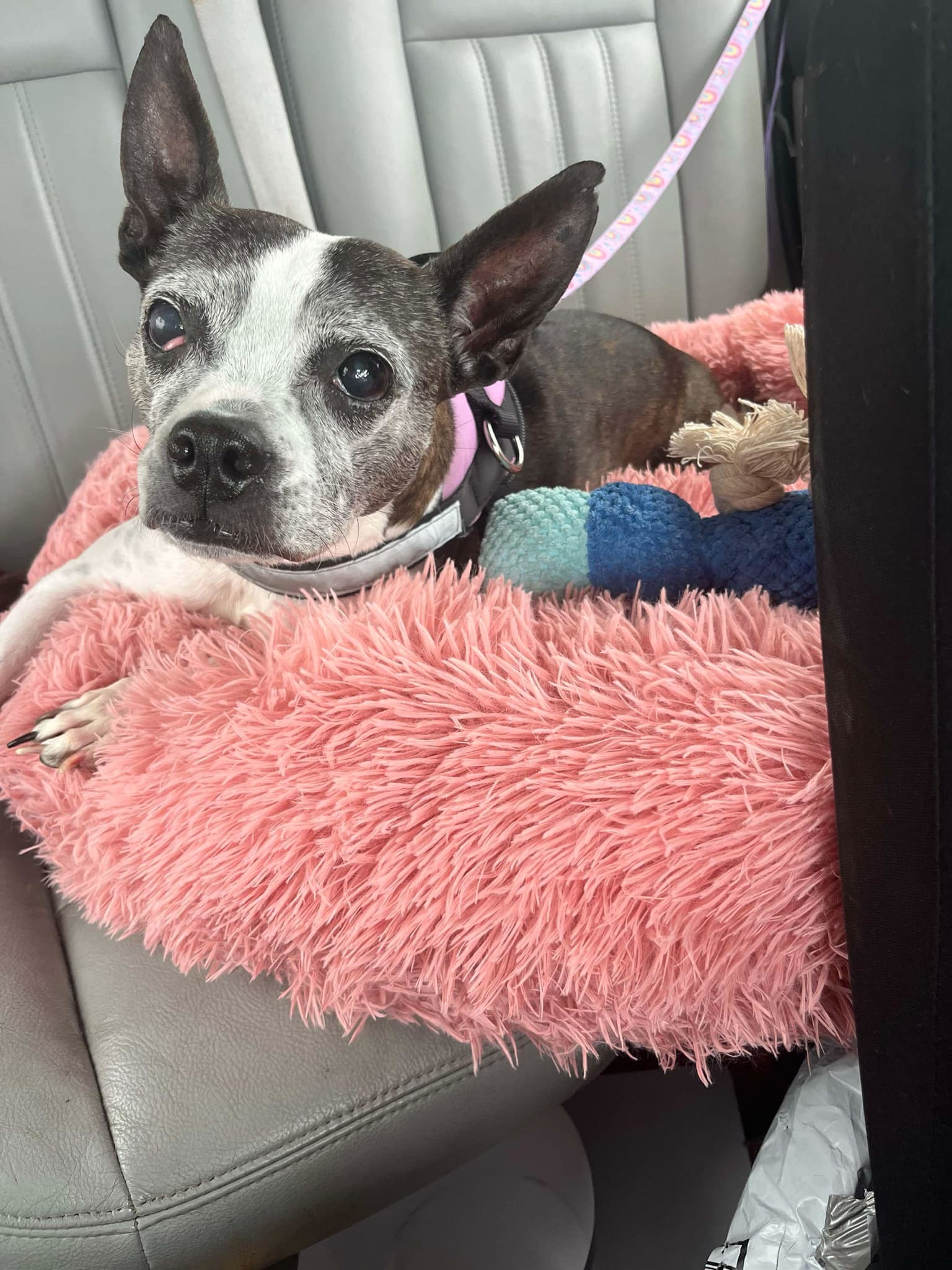 chloe