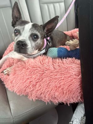 chloe
