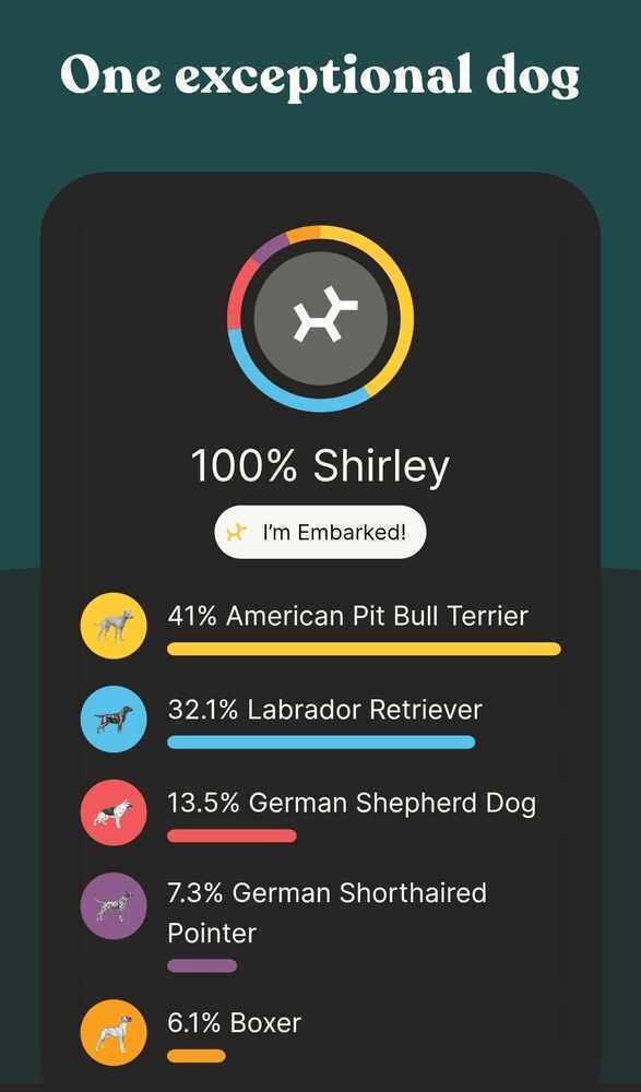 Shirley